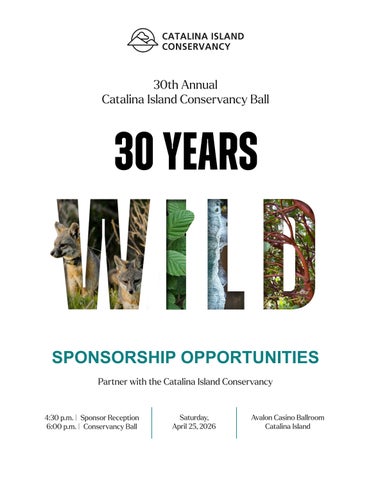 2026 CIC Ball Sponsorship