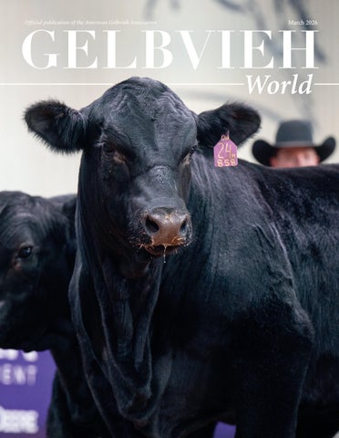 March 2026 Gelbvieh World