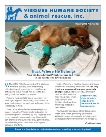 VHS 2026 Winter Newsletter