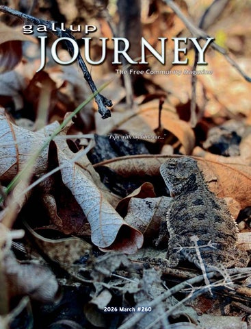 Journey-March2026