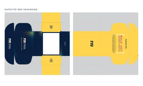 FIU Engineering & Computing Promo Box 