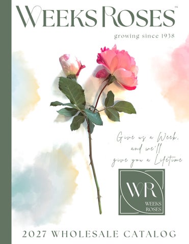 2027 Weeks Roses Wholesale Catalog