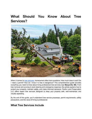 What Should You Know About Tree Services_