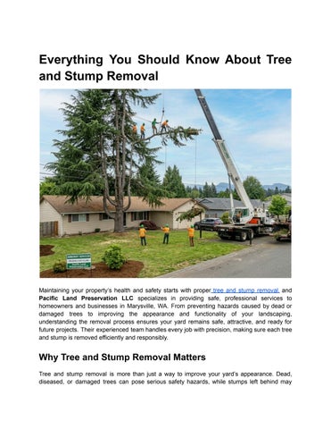Everything You Should Know About Tree and Stump Removal