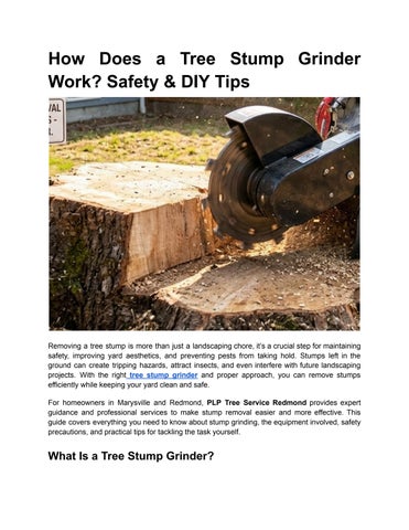 How Does a Tree Stump Grinder Work_ Safety & DIY Tips