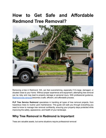 How to Get Safe and Affordable Redmond Tree Removal
