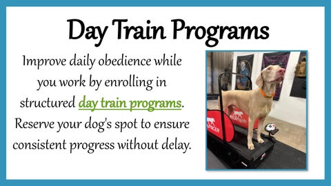 Day Train Programs
