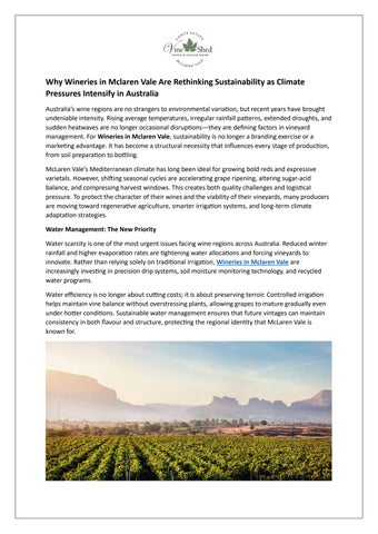 Why Wineries in Mclaren Vale Are Rethinking Sustainability as Climate Pressures Intensify in Austral