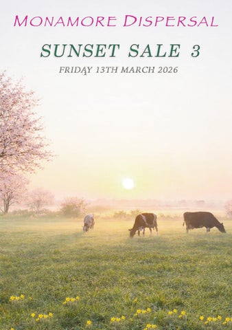 MONAMORE DISPERSAL-SUNSET SALE 3
