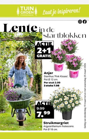 Tuincentrum Tuingroen | Folder 04 2026