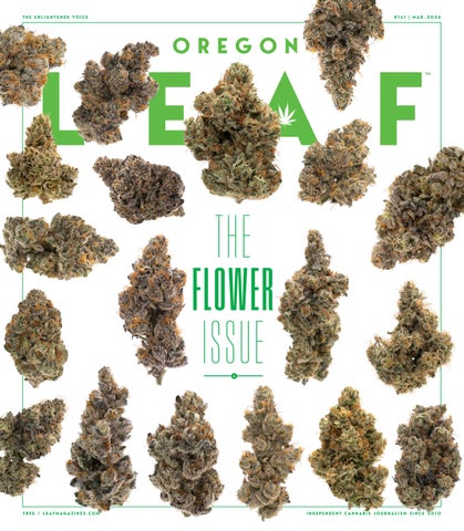 OregonLeaf_Mar2026