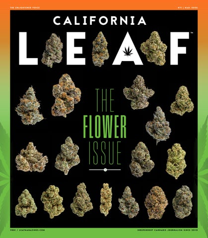 CaliforniaLeaf_Mar2026