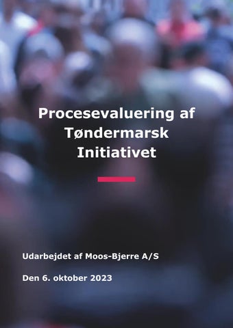 Procesevaluering af Tøndermarsk Initiativet