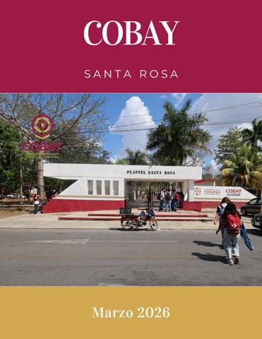 Revista Cobay