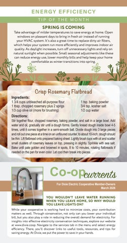 Dixie Electric March 2026 Bill Insert