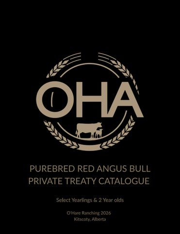 O’Hare Ranching Purebred Red Angus