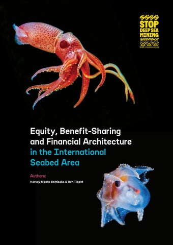 Exec Summary: Equity, Benefit-Sharing and Financial Architecture in the International Seabed Area