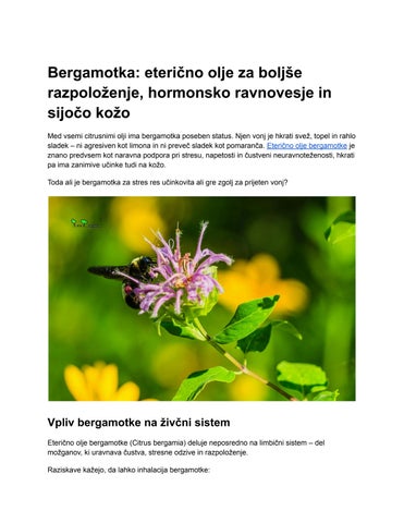 Bergamotka_ eterično olje za boljše razpoloženje, hormonsko ravnovesje in sijočo kožo (2)