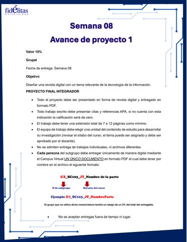 Indicaciones sem 08 (Avance 1 Proyecto)