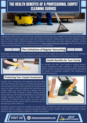 Efficient Carpet Cleaning Services
