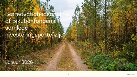 Bikubenfondens bæredygtighedsanalyse - 2025