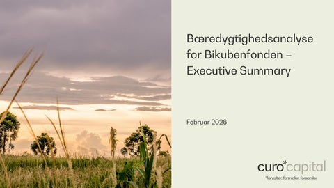 Bæredygtighedsanalyse for Bikubenfonden – Executive Summary