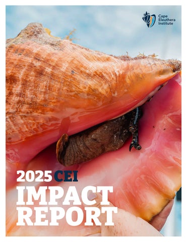 2025 Cape Eleuthera Institute Impact Report