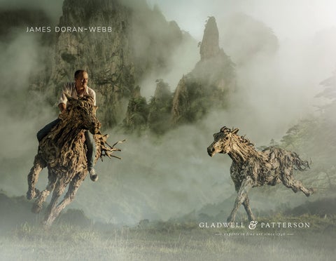 James Doran-Webb: Evolution