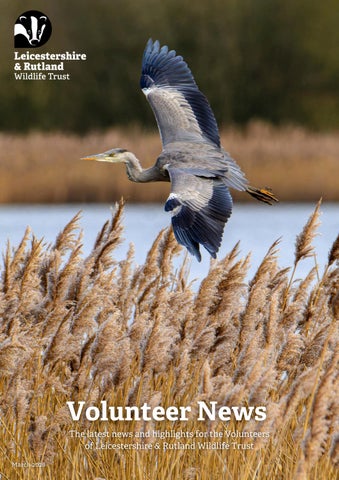 LRWT Volunteer Newsletter - March 2026