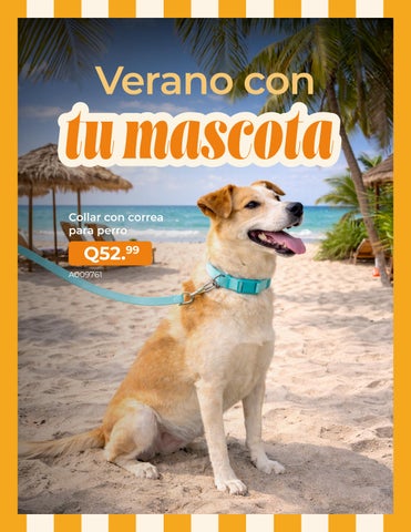 Sol, verano y hogar Suplemento marzo y abril 2026 第 18 页