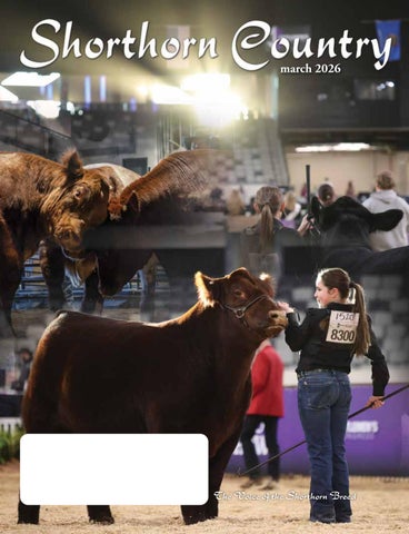 March 2026 Shorthorn Country
