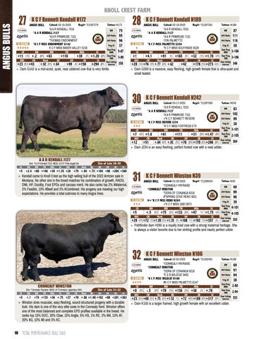 Knoll Crest Farm Bull and Female Sale - 2026 第 12 页
