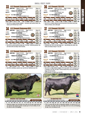 Knoll Crest Farm Bull and Female Sale - 2026 第 13 页