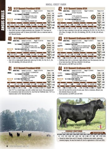 Knoll Crest Farm Bull and Female Sale - 2026 第 14 页