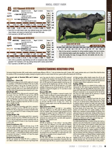 Knoll Crest Farm Bull and Female Sale - 2026 第 15 页