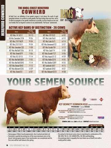 Knoll Crest Farm Bull and Female Sale - 2026 第 16 页