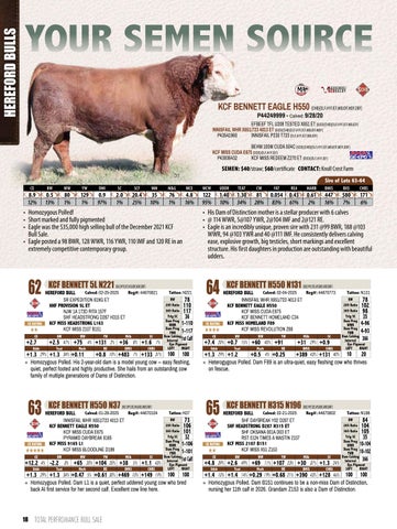 Knoll Crest Farm Bull and Female Sale - 2026 第 20 页