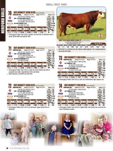 Knoll Crest Farm Bull and Female Sale - 2026 第 22 页