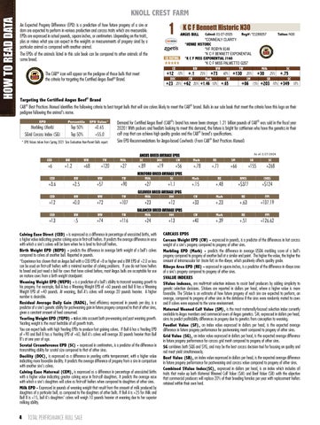 Knoll Crest Farm Bull and Female Sale - 2026 第 6 页
