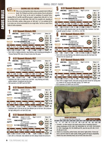 Knoll Crest Farm Bull and Female Sale - 2026 第 8 页