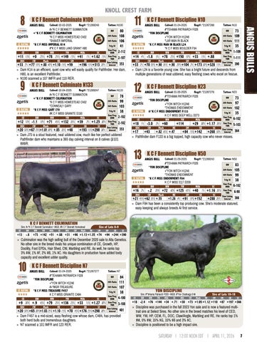 Knoll Crest Farm Bull and Female Sale - 2026 第 9 页