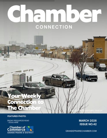 Chamber Connection Vol 42 (Mar 03)