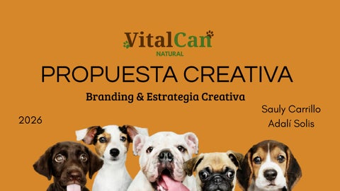 PORTAFOLO VITALCAN NATURAL