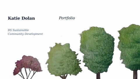 Katherine Dolan Portfolio