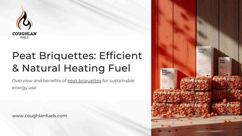 Peat Briquettes Efficient Home Heating Fuel