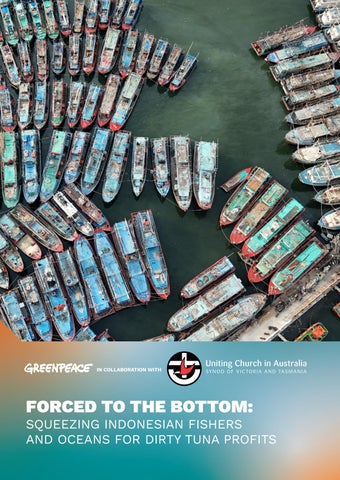 Greenpeace Tuna Report 2026