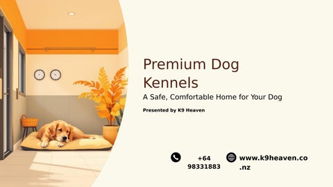 Premium Dog Kennels: Safe and Comfortable Boarding for Dogs