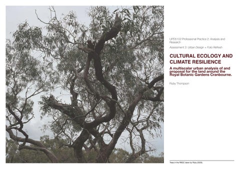 Professional Practice 2: Analysis and Research focused on Ecology