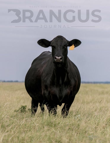 March 2026 Brangus Journal