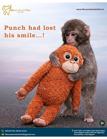 Regain Your Confidence with the Best Dentist in Panchkula - Lifecare Dental Clinic